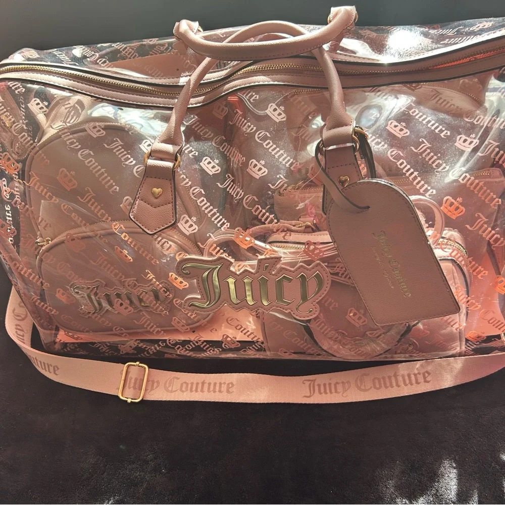 Juicy Couture Pink and Gold Transparent Tote - Picture 2 of 7